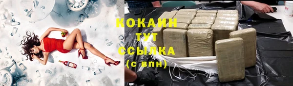 гашик Остров