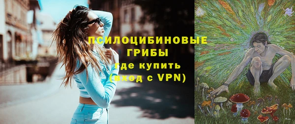 гашик Остров