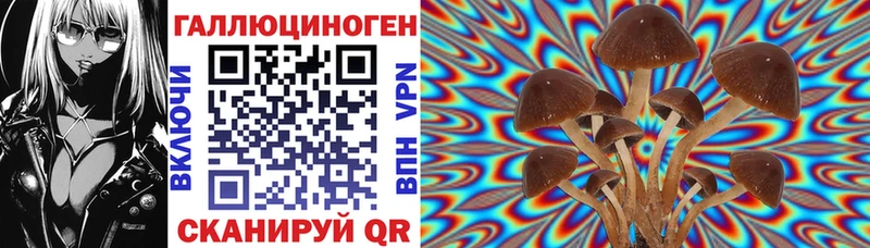 Псилоцибиновые грибы мицелий  блэк спрут онион  Суздаль 